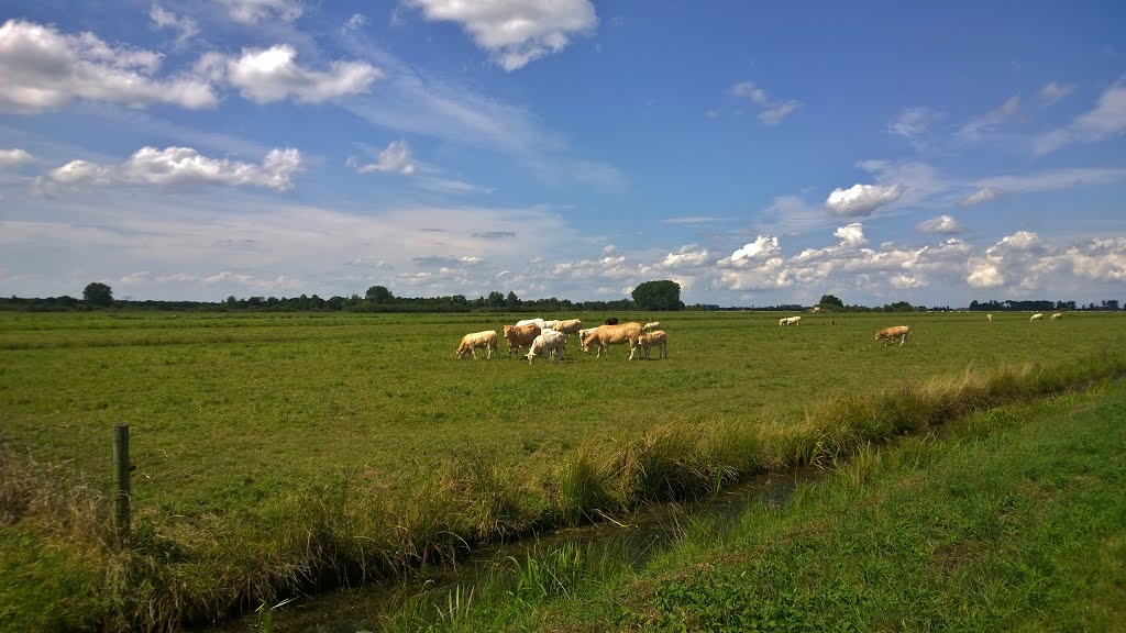 De Oostpolder van Het Groninger Landschap, tussen de Hondsrug en het Zuidlaardermeer bij Noordlaren. by Hans R. van der Woud…