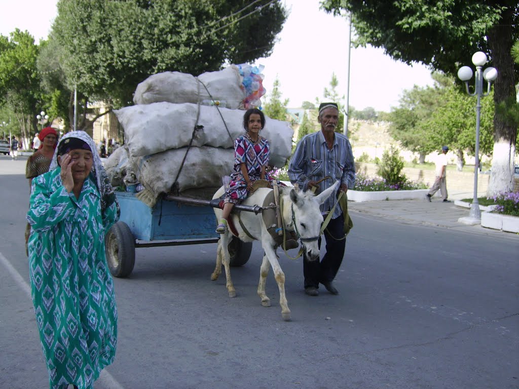 Samarkand, Uzbekistan by Luca Pezzaioli