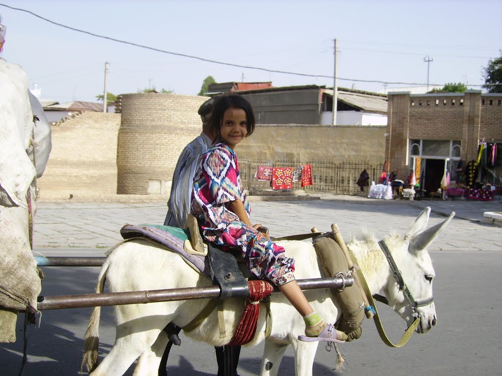 Samarkand, Uzbekistan by Luca Pezzaioli