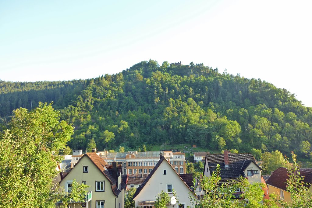 Schramberg - unter der Burg by oertelw