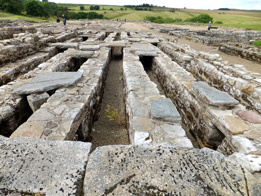 Vindolanda by M uba.