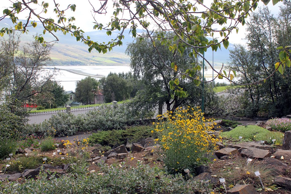 Akureyri - Botanic Garden by Malcolm Bott