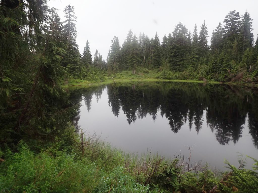 Twin Lakes - Upper One, 7/22/2014 by Wester Van