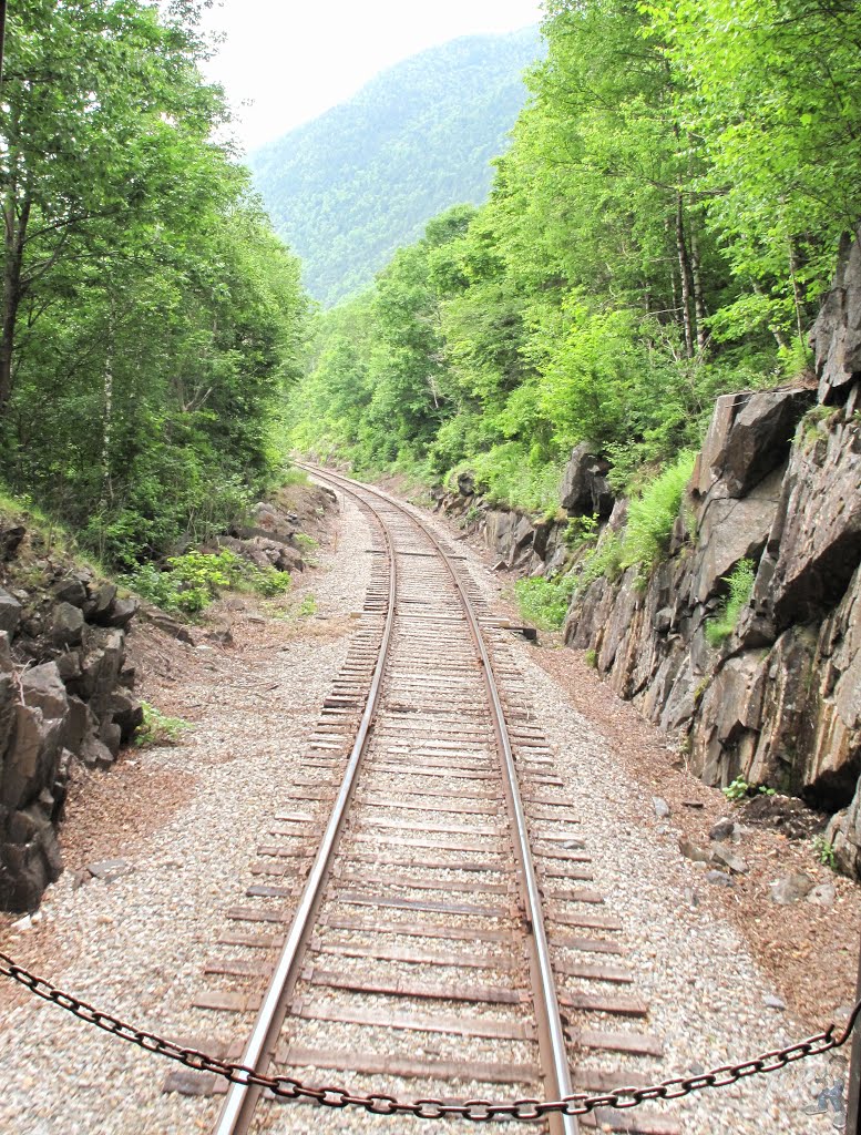 View from Conway Scenic Railroad - Crawford Notch State Park, White Mountain National Forest, Hart's Location, NH , USA by mariok40