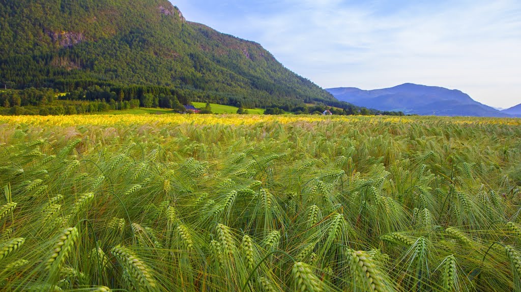 Fræna, Norway by Bjørn Fransgjerde