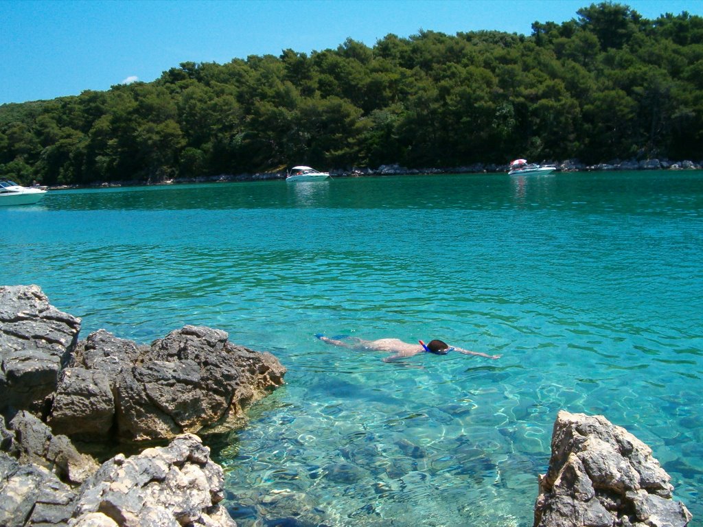 Snorkling Rab by Francois Esnault