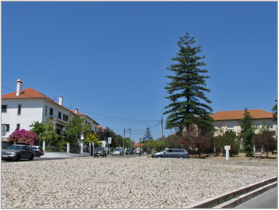 Rua do Poço Coberto / Rua das Escolas by Barragon