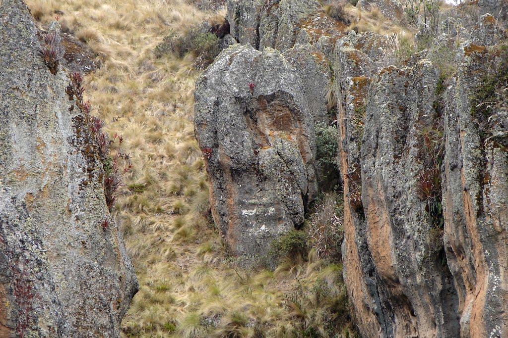 Pirata, Bosque de Piedras Los Frailones, Complejo Hidráulico Ceremonial Cumbemayo, Cajamarca, Perú by Gualberto Valderrama…