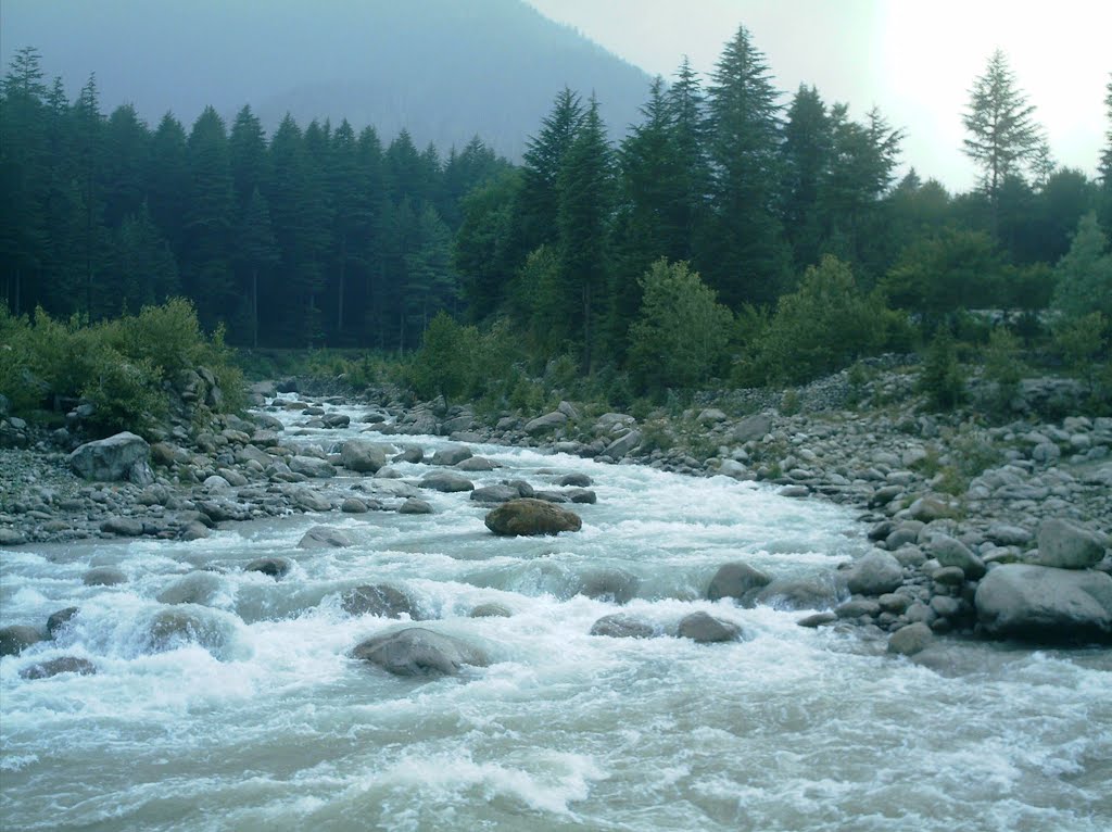 Water always makes It's Way..!!! by Prateek Chauhan