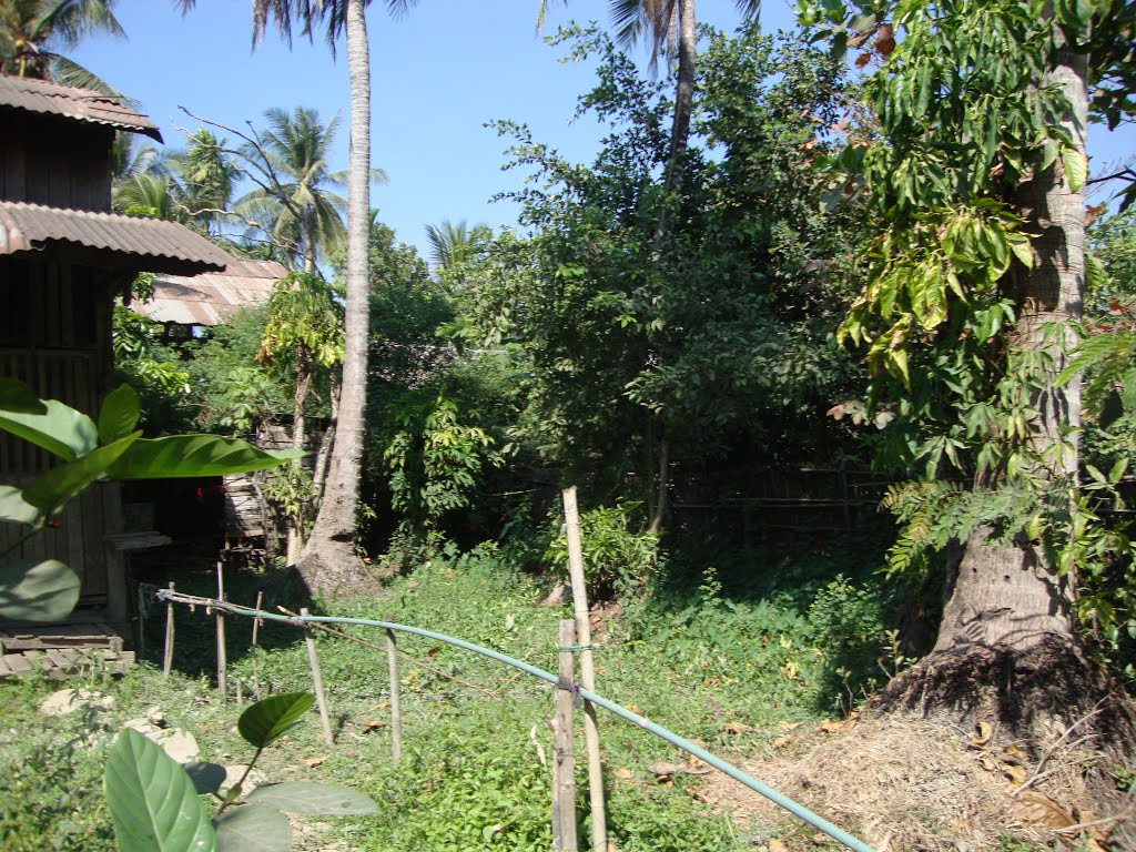 North Okkalapa, Yangon MMR013012, Myanmar (Burma) by rzin1954