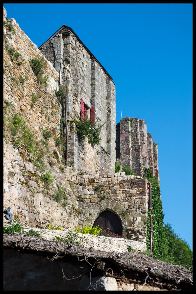 Ancien chateau by Ted01