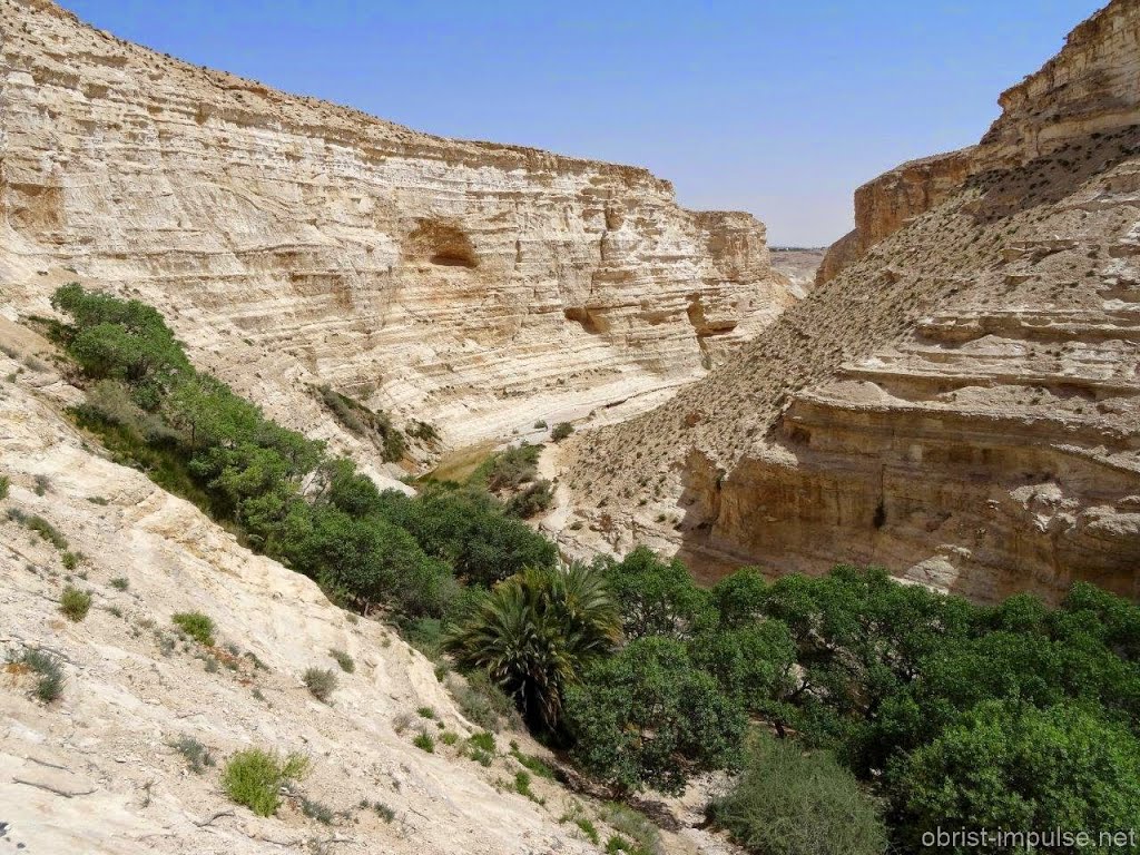 Wadi Ein Avdat Israel by obrist-impulse.net