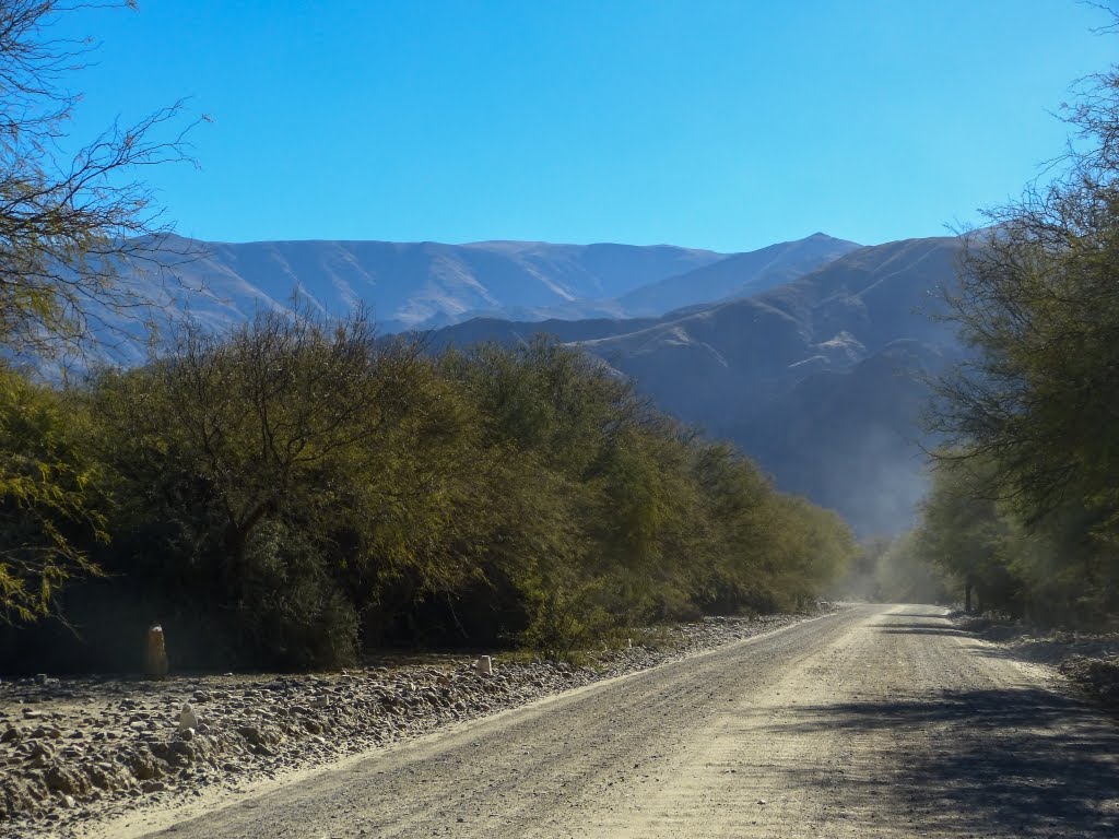 Camino de entrada a las Ruinas de los Kilmes (jfe) by Javier E