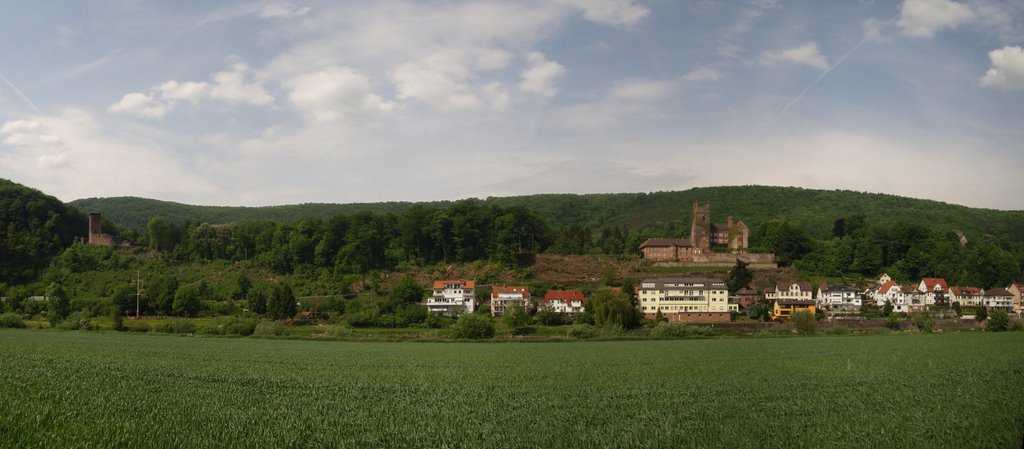 Neckarsteinach - Hinterburg und Mittelburg by roggae