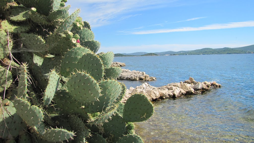 Sveti Petar na Moru, Croatia by En Rico