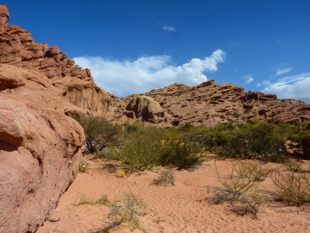 Los colorados en al Quebrada de las Conchas (jfe) by Javier E