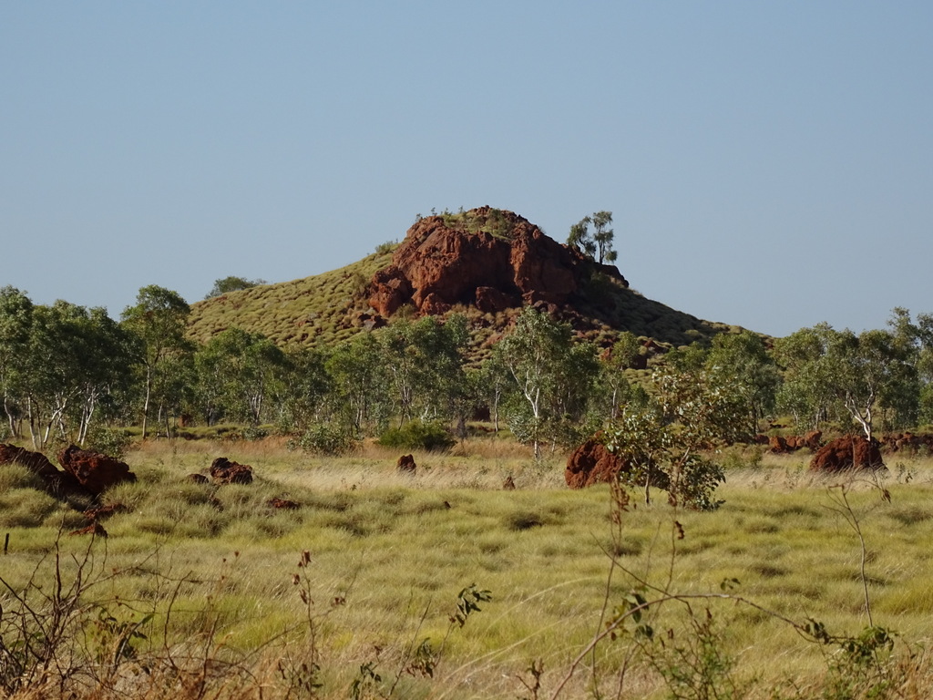 Hill beside the Tanami Road by Warwick Sellens