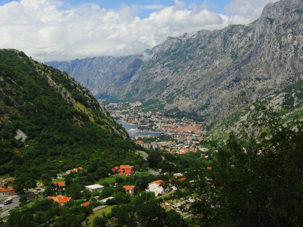 BAY OF KOTOR-ON THE WAY FROM KOTOR TO CETINJE by dana ciszewska