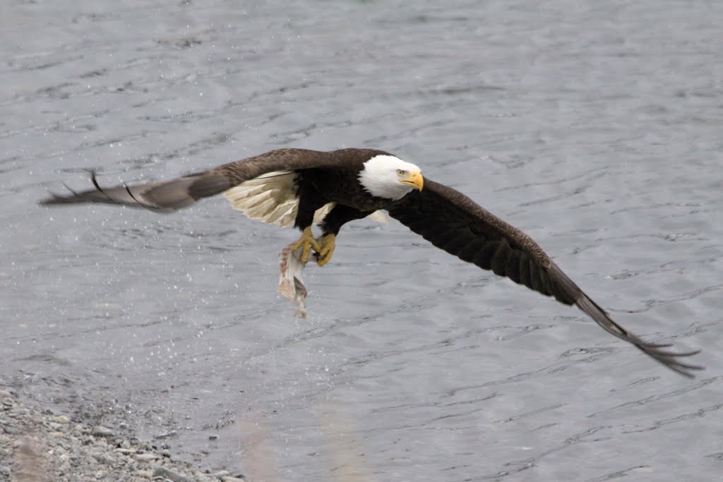 Seward, AK 99664, USA by Miloslav Martan