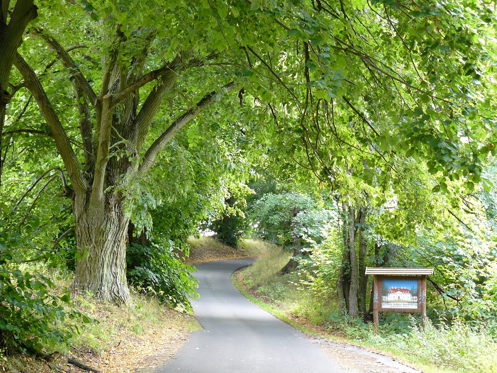 Radweg Gransee-Meseberg by udogoetz