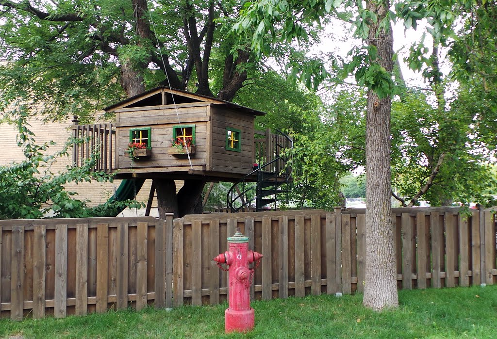 Ma Cabane au Canada,... le 4 août 2014 =//= Bon retour à la maison Patrick!!! by Sergeï D.