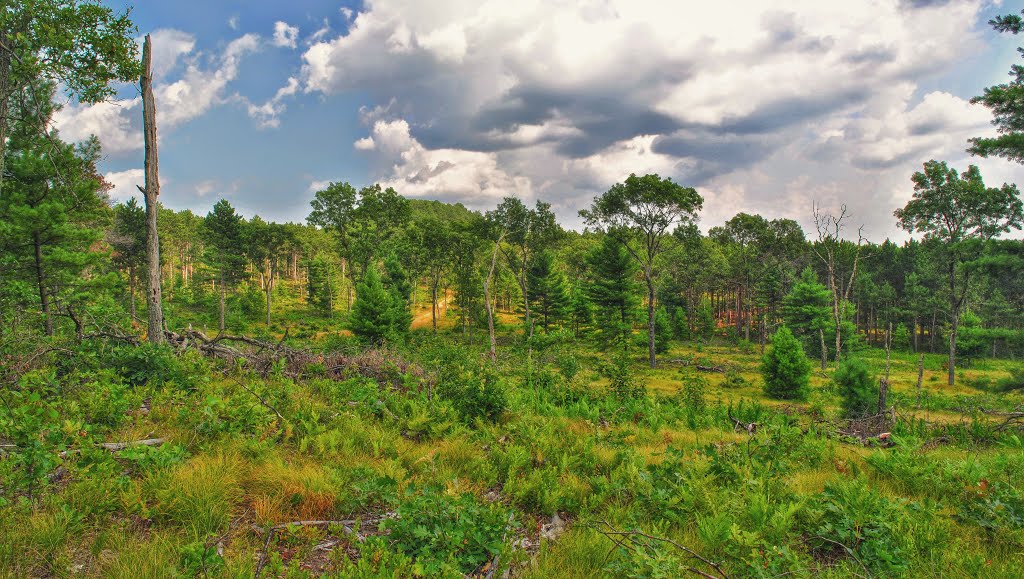 Wildcat Ridge State Natural Area by Aaron Carlson