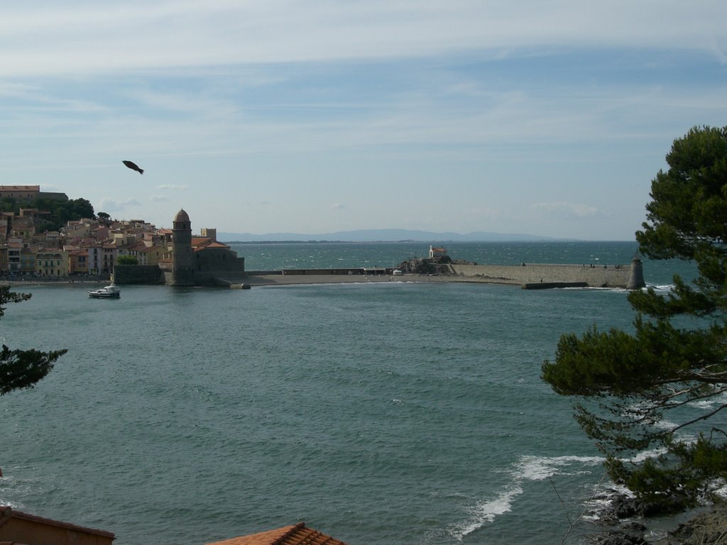 Collioure, France by buse34