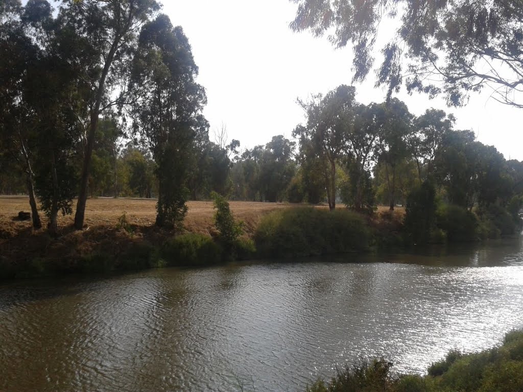 Yarkon river by dvir419