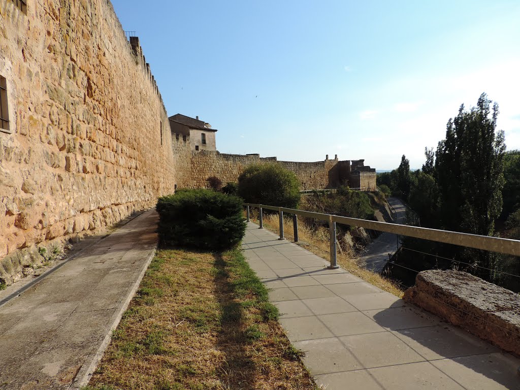 Muralla en Almazan, Soria., España. ( Estepa32). by Estepa32