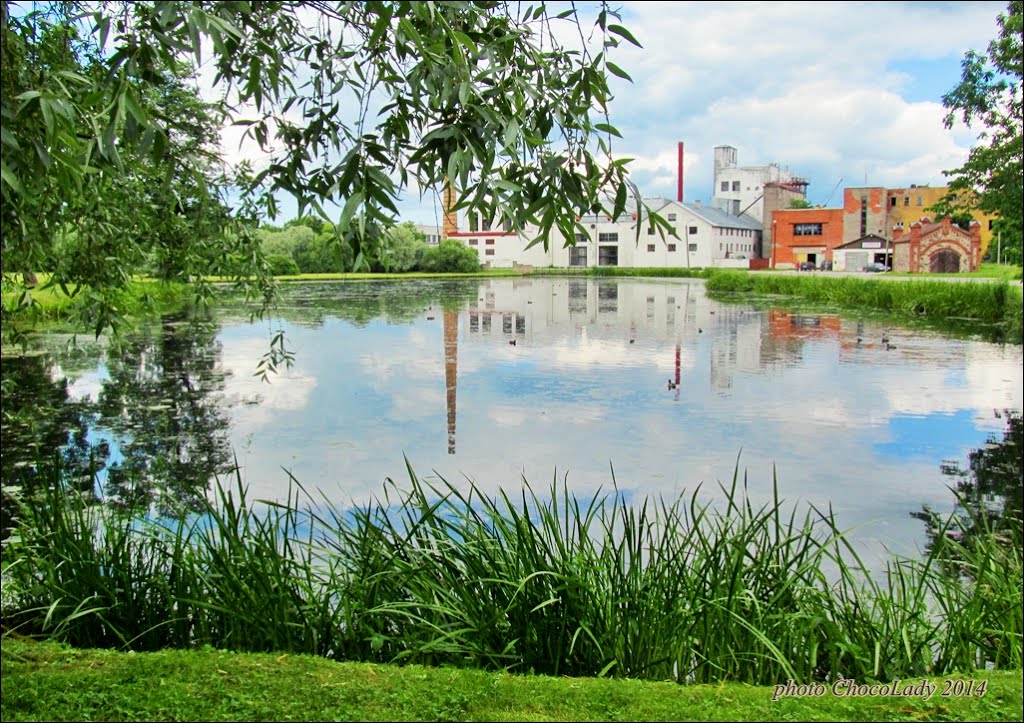 Rakvere, Lääne-Viru County, Estonia by ChocoLadyHeart