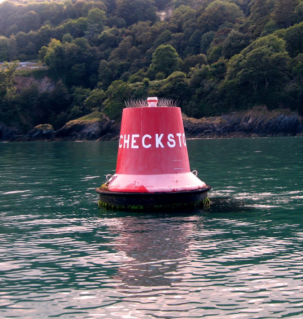 Checkstone Buoy by SA10