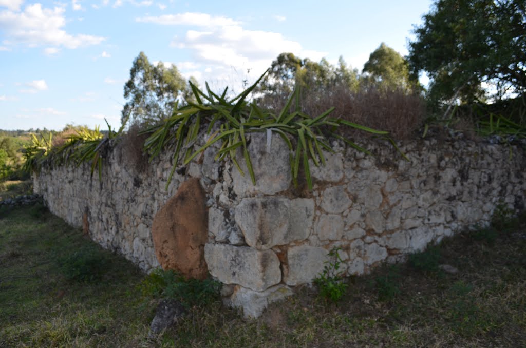 Ruínas do Loures by Dimas S Ferreira