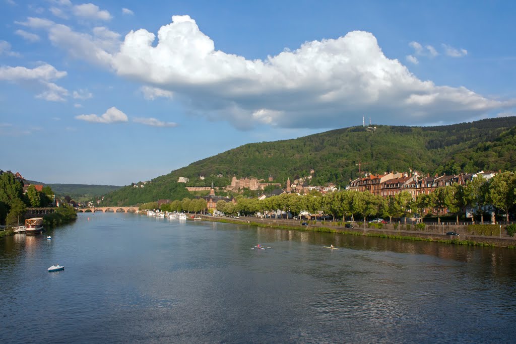 Blick auf den Königstuhl by H-P-S