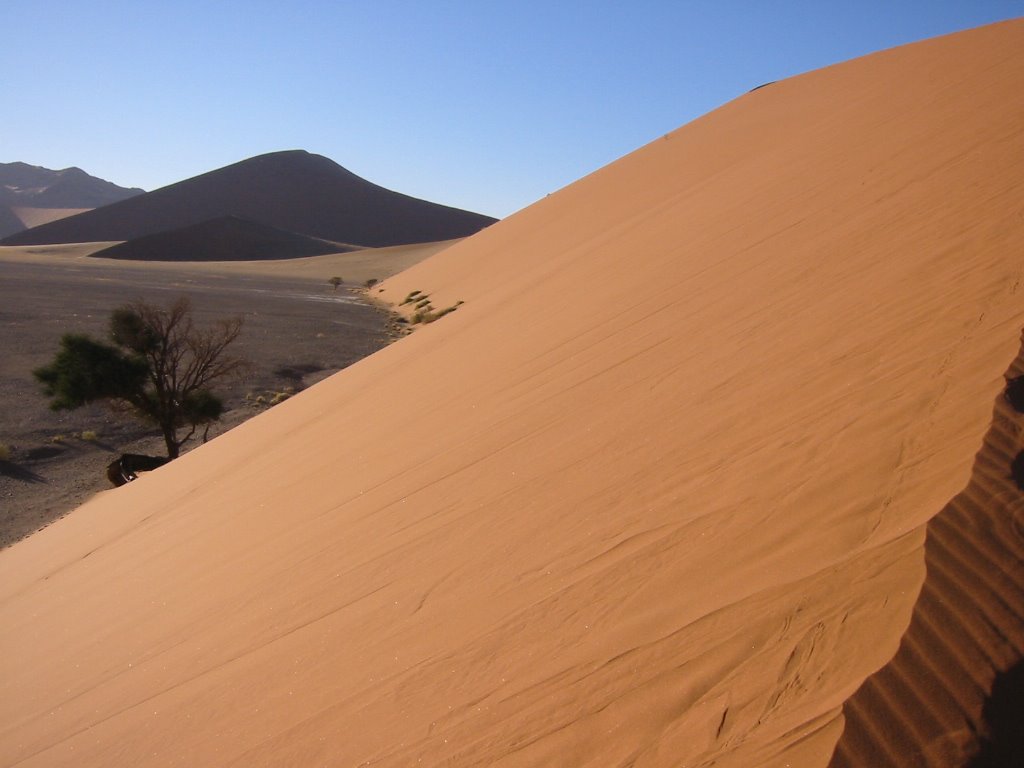 Dune 45, Namib Desert by ehrbar