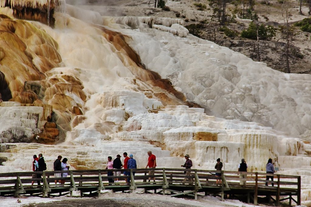 Mammoth Hot Springs Crystaline "River"comes off tall terrace to several smaller terraces with crystal cycles by elkbender257