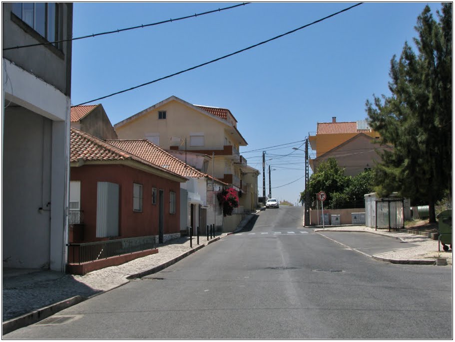 Rua José Gomes Ferreira by André Barragon