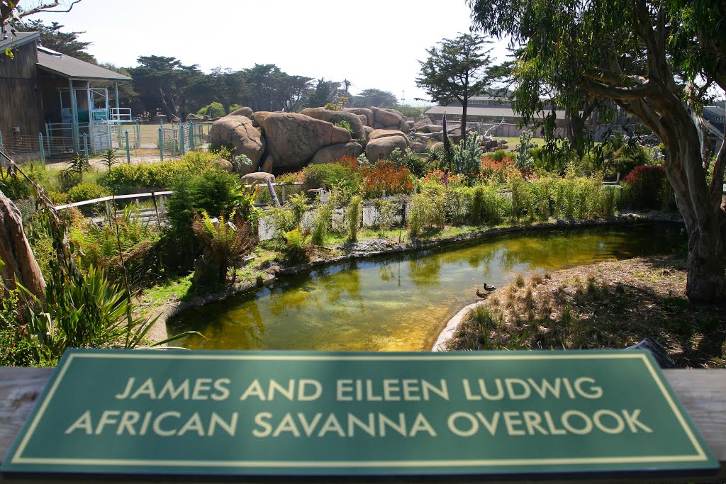 African Savanna Overlook by Rosencruz Sumera