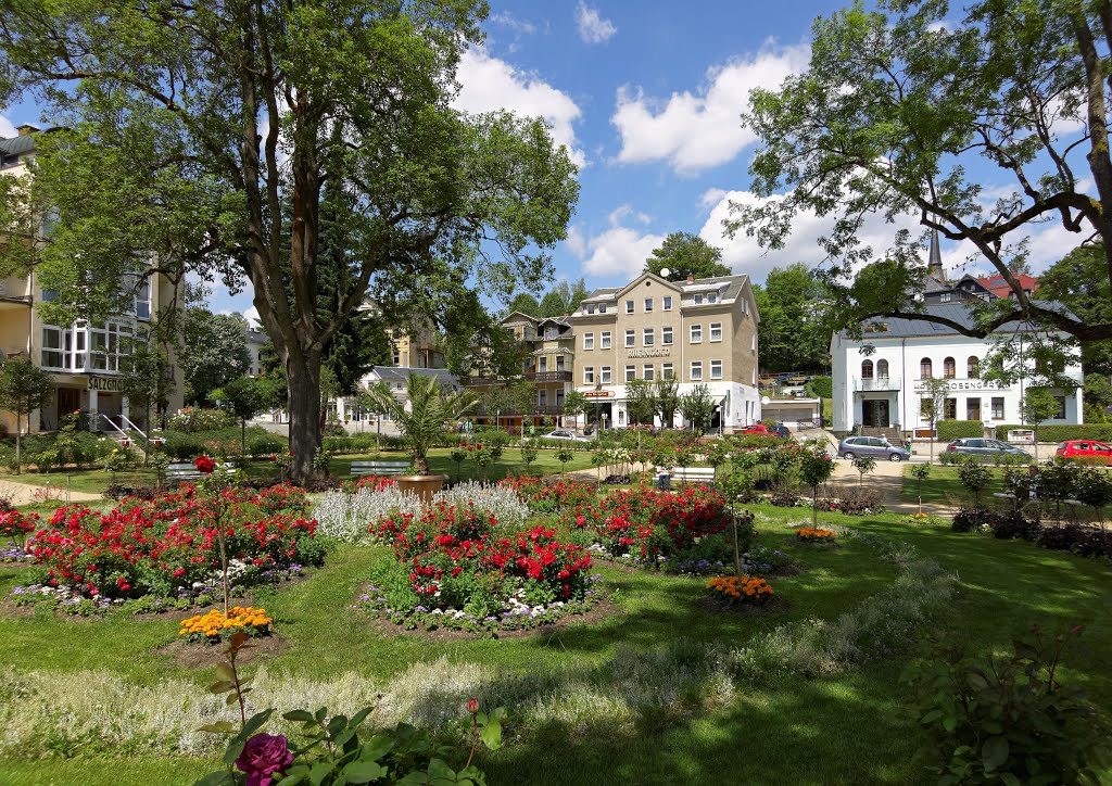 Bad Elster - Rosengarten by ICH WAR HIER