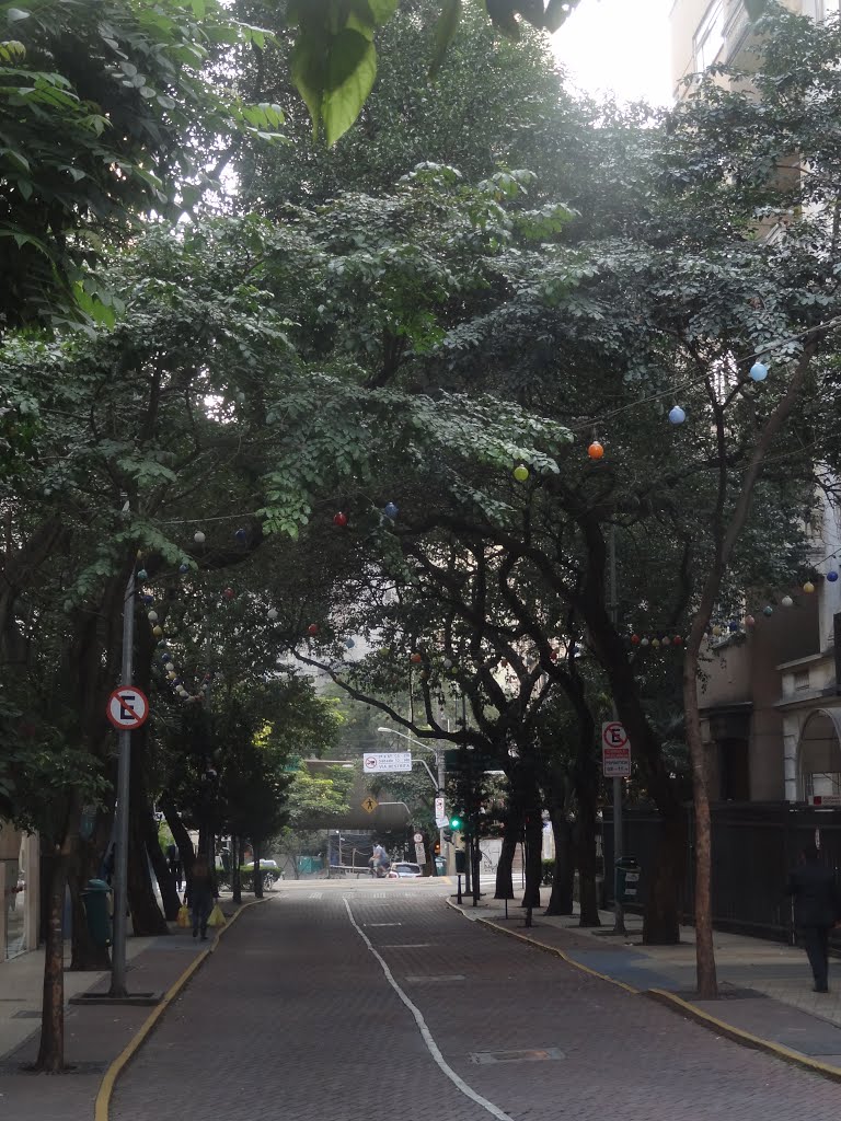 Rua Avanhandava – São Paulo, 2014 by Daniel Souza Lima