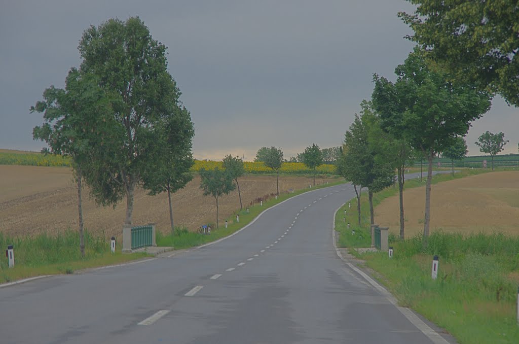 Gemeinde Großkrut, Austria by Андрей Гудошников