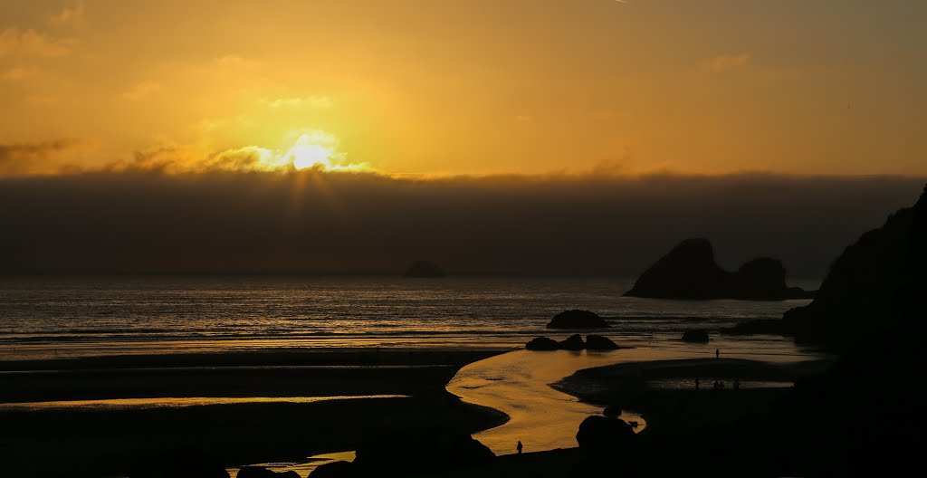 Moonstone Beach, Humboldt County, California by davidcmc58