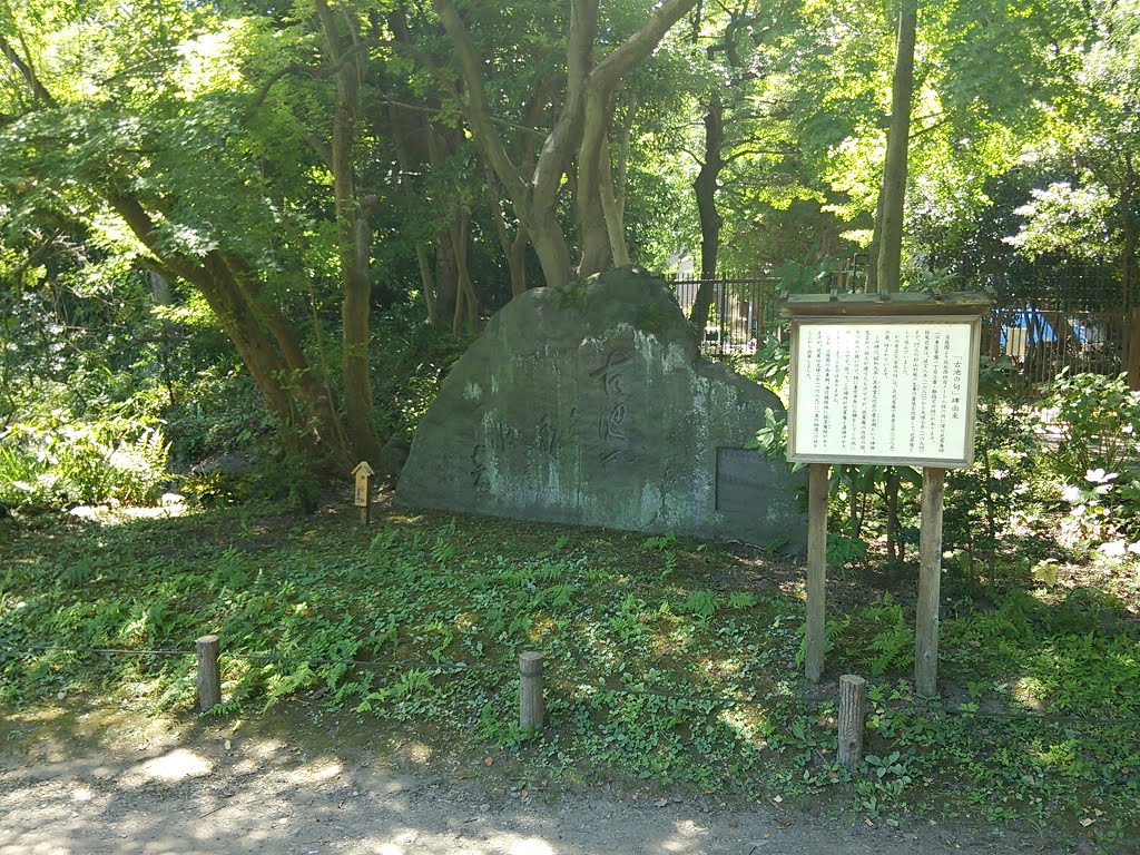 芭蕉の句碑(古池の句碑)　清澄庭園 by Stokesia