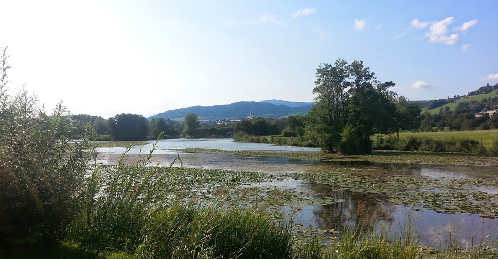 Lac du Môle by oenanthe   ♥ Pano ♥