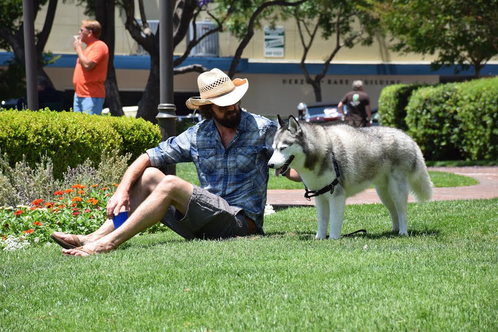 Hombre y perro by JOSE ALBERTO RODRIGU…