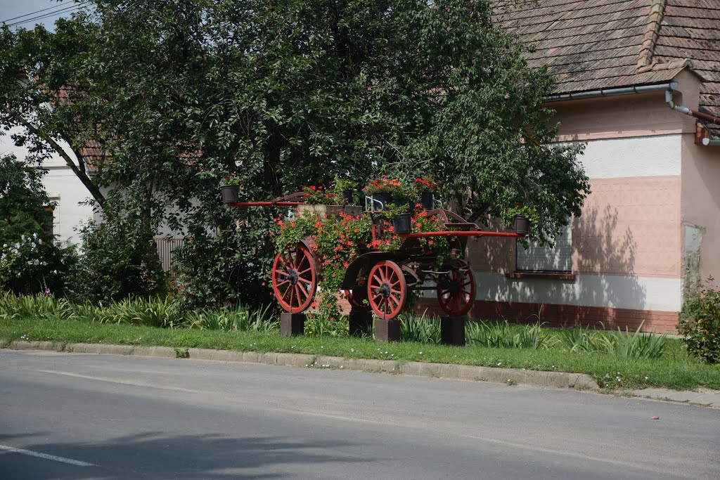 Utcarészlet, dísz-szekér by Lajos Gál