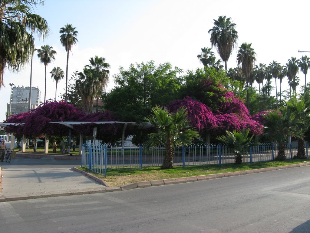 MERSIN - Sakarya Cadde by Van der Linden