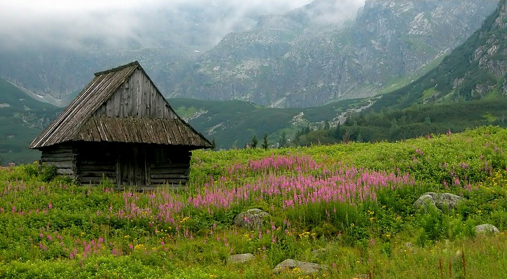 Tatry. Dolina Gąsienicowa. by Krzysiek Kraszyński