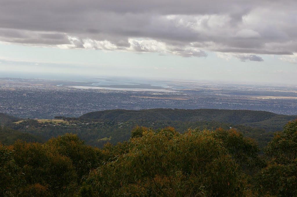 Mt Lofty, Sth Australia by Richard Rowntree