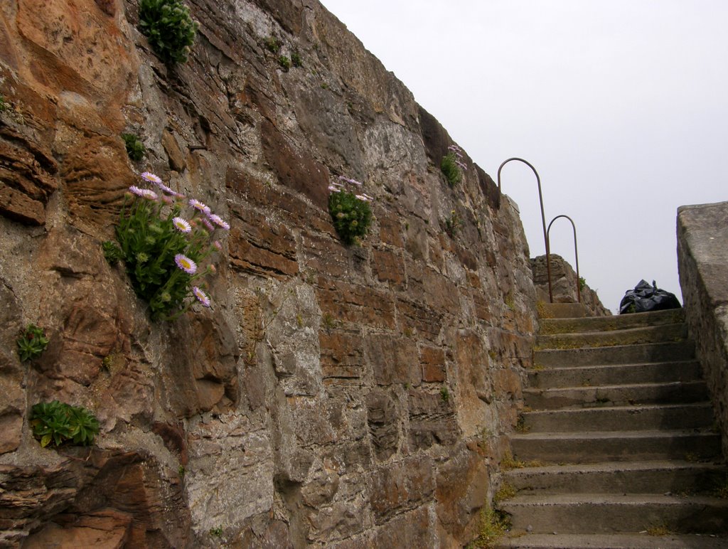 Harbour Wall by © Douglas MacGregor