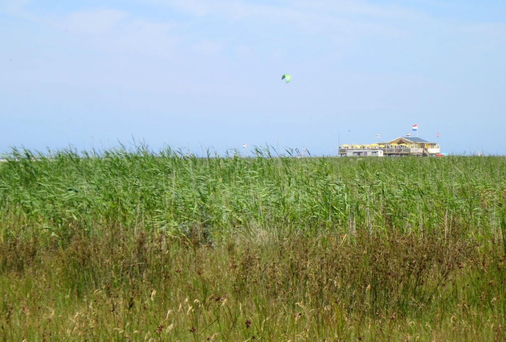 Schiermonnikoog (NL) by Geert Budenaerts